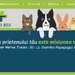 JoyVet - Clinica Veterinara